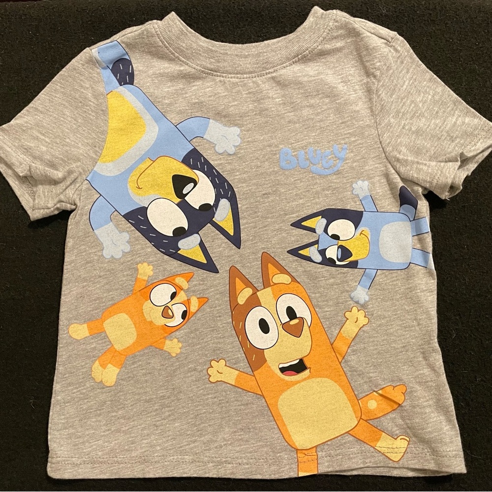 Bluey Gray T-Shirt